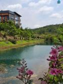 Bán lô đất nghỉ dưỡng đẹp tại Khúc Thừa Dụ, Phường 2, Lâm Đồng, 880 triệu, 150 m2 gần full thổ cư.