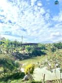 Đất Bảo Lộc Trung Tâm, 150m² (6x25), 100m² Thổ Cư – Giá Chỉ 490 Triệu, Sổ Hồng Có Sẵn!