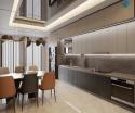 Bán nhà LẠC LONG QUÂN- otô- dân xây – ô chờ thang máy nhà đẹp ở ngay - 58 m 5 tầng 15.4tỷ