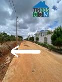 Cần Bán Lô Đất Đẹp – Bồng Lai, Đơn Dương – Chỉ 4,3 Tỷ Sổ Riêng