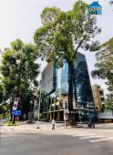 Building góc 2 MT 146 Nguyễn Đình Chiểu, P. VTS, Quận 3 DT: 21x45m, 2 hầm 13 tầng DTXD: 14.518m2