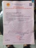 Chủ Ngộp Gấp Lô Đất Mặt Tiền Đặng Công Bỉnh – Giá Chỉ 10.5 Tỷ