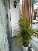 Bán nhà Bạch Đằng, P.24,3.3×11.2m, 1 trệt, 1 lầu, 2PN, 2WC, Full Nội Thất, 5.35 tỷ, TL