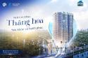 Chung cư Hà Nội giá tốt từ 6x triệu/ m2
