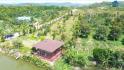 Bán đất nền sân vườn Quốc Lộ 55, 310m2, giá 799 triệu, view đẹp, uy tín phường 2, Lâm Đồng