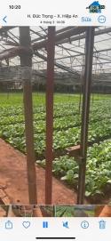 Hạ Giá Kịch Sàn - Bán Gần 5000M2 Hiệp An - Giảm 5 Tỷ