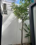 Nhà cấp 4 mặt tiền Nguyễn Đình Chiểu . DT:106m , ngang 5m