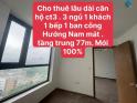 Cho thuê căn chung cư CT3X2 Trần Hòa, 80m2 x 3 ngủ, 2 wc.9 triệu