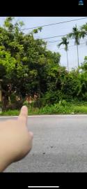 Bán Lô Đất Đẹp – Vị Trí Đắc Địa Trục Đường Đh, Xã Nam Hà, Tiền Hải