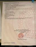 Bán Nhà Hẻm Xe Hơi 19/1C Trần Bình Trọng, Bình Lợi Trung