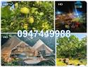 ⭐Bán 3000m2 đất ở Phường Bình Lộc (Long Khánh cũ), tỉnh Đồng Nai. 0947449988