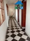 Chính Chủ Cần Bán 5 Công Vườn – Mặt Tiền Ql1a – Xã Hòa Hưng, Cái Bè, Tiền Giang