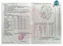 Trang trại chăn nuôi heo qui mô lớn 10 hécta giá thương lượng