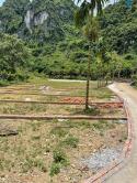 Đất Nền Full Thổ Cư Gần Cụm KCN Thanh Sơn Chỉ 300 Triệu - Giá Fo - Sinh Lời Bền Vững