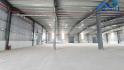 X399_Cho thuê kho Xưởng tại Phường Tam Phước Biên Hòa dt từ 1200m2 giá chỉ 75 nghìn/m2