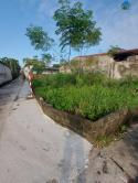 Cần Bán Lô Đất Đẹp Tại Khu 1 Rừng Sằm, Xã Thiện Kế, Huyện Bình Xuyên, Vĩnh Phúc