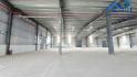 Cho thuê kho Xưởng tại Phường Tam Phước Biên Hòa dt từ 1200m2 giá 90tr/tháng