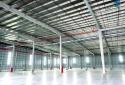 Cho thuê 30.000m2 nhà xưởng mới 100%,giá khoản 4,1 tỷ / tháng KCN Nhơn Trạch, Đồng Nai