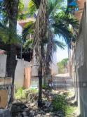 Chỉ Nhĩnh 3 Tỷ Có Ngay Lô Đất 148M K Trần Ngọc Sương, Hoà Thọ Đông, Cẩm Lệ, Thông Thăng Long