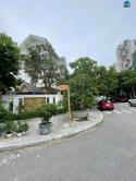 Cho thuê biệt thự lô góc siêu đẹp 250m2, 4 tầng, KĐT Mỹ Đình, hợp chuyên gia ở