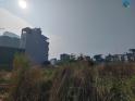 Đất Đấu Giá 75M2 Khu Trũng – Kim Chung – Hoài Đức, Vị Trí Đẹp Giá Đầu Tư