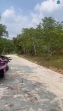 Chính chủ cần bán đất giá rẻ – Chỉ 650 triệu/sào- Lộc Ninh - Bình Phước