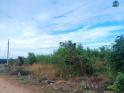 Chính Chủ Cần Bán Gần 12.000m² Đất Tại Xã Sông Bình, Bắc Bình, Bình Thuận