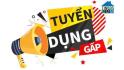 [tuyển Dụng Marketing] - Công Ty TNHH VTP Vietnam - Đống Đa, Hà Nội