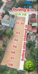Cần bán 100m đất full thổ cư tại Ba Vì, Hà Nội