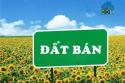 Cần Bán Đất Nền Lô Góc Cực Đẹp Tại Phường Cửa Đại – Hội An – Đà Nẵng