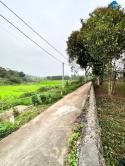 Bán Đất Đẹp Mỹ Trung – Phường Tùng Thiện, Sơn Tây, Hà Nội