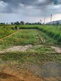 *chính Chủ Cần Bán Gấp Lô Đất Giá Rẻ Ngay Xã Tân Lân, Cần Đước, Long An