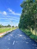 Bán đất đường xe hơi xã An Viễn, Trảng Bom, Đồng Nai: 5 x 21, giá 1,05 tỷ.