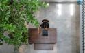 Office MT Nguyễn Thị Minh Khai, P.Nguyễn Cư Trinh, Quận 1, 7x21m, Hầm, 4 lầu, nhỉnh 100 tỷ