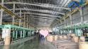 Bán xưởng 17.000m2 KCN Nhơn Trạch Đồng Nai giá 71 tỷ