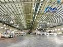 Bán xưởng 30.000m2 KCN Nhơn Trạch, Đồng Nai đã đóng tiền 1 lần