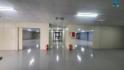 Nhà Xưởng 1000M2 Tầng 2 Tại KCN Quang Minh. Hà Nội