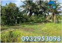 Chính chủ bán đất vị trí đẹp (Châu Thành, Trà Vinh) nay là ấp Hoà Lạc C, xã Song Lộc, Vĩnh...