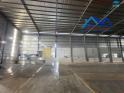 Cho thuê nhà xưởng Thạnh Phú Vĩnh Cửu 2.800m2 chỉ 3 usd/m2