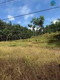 Bán 1,6 Ha Cao Su – Xã Tân Thành,Huyện Bù Đốp, Bình Phước