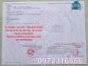 Cần bán lô đất CLN vị trí đẹp tại tổ 19, Ấp Cây Sộp, xã Tân An Hội (Củ Chi), TP.HCM, 0972316866