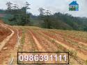 Bán đất tại Đạ Sar, Lạc Dương, Lâm Đồng, 300 triệu/sào đẹp, nhiều tiện ích; 0986391111