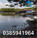 Bán 61 mẫu đầm nuôi tôm tại xã Thạnh An (Cần Giờ), TP.HCM, 0385941964
