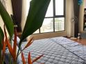Nhanh còn – Chậm hết! chung cư CT1 Ngô Thì Nhậm 63m2, 2 ngủ giá nhỉnh 4 tỷ