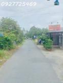 Bán gần 2 công 8 vườn sầu riêng Ri6 7năm tuổi xã Thành Triệu - Bến Tre