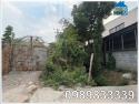 Chính chủ cần bán nhà đất đường Vĩnh Phú 25 (Thuận An, BD), TP.HCM,0989833339