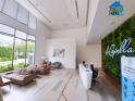 Cho thuê shophouse tại De Capella Quận 2 giá chỉ từ 45tr diện tích 100m2