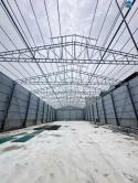 Cho thuê kho xưởng mới xây dựng 1100m2 tại Tam Hiệp, Hát Môn, Hà Nội