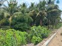 Bán đất siêu đẹp mặt tiền bờ sông Sài Gòn tại Đông Thạnh, DT 1500 m2, giá 58 tỷ