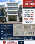 Cho thuê toà nhà đẹp - mặt tiền đường Mậu Thân Cần Thơ - Gần Siêu Thị Lotte n